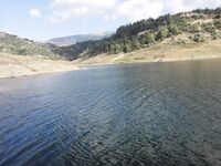 Канавиу напомнила Горный Алтай и дала стабильную форель