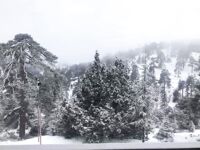 Июнь на острове оставил лето и осень под вопросом