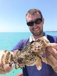 Пицунда с берега, морской дракончик и отводной на темной резине