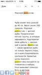 Пицунда с берега, морской дракончик и отводной на темной резине