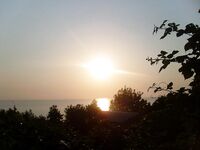 Первое знакомство с морской снастью в Лазаревском свелось к ставриде, пеламиде и ливню на последнем выходе