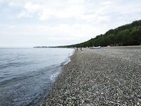 Лдзаа за две недели отпуска стабильно держала булеры 3-5 граммов днём и деликатный самодур по ставридке вечером