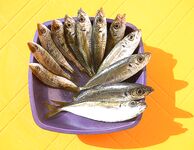 Сарганка и дальний заброс у Дивноморского
