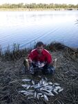 Ейск и Ясени с фидерами, кукурузой и амуром около 8 кг