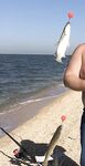 Садки в августе лучше отвечали патерностеру с крупной кукурузой, а карповый монтаж по местному сазану молчал