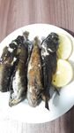 Мысовое у Казантипа с микроджигом и бычком у скал