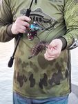 Ялонг Бей утром с бетонных плит, груперами и булером