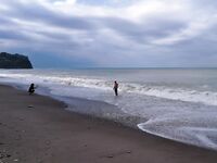 Новомихайловский, карась с берега и ночная скорпена