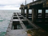 Пирс в Лермонтово после ветра, карась и барабулька