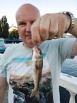 Крючок 12, барабулька и ласкирь в центре Севастополя
