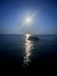 Понизовка, Marukyu и первые рыбы Чёрного моря