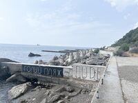 Понизовка, Marukyu и первые рыбы Чёрного моря