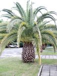 Речка, форель и галечный рокфишинг в Абхазии