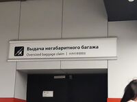 Тубусы со спиннингами на негабаритной выдаче в Шереметьево