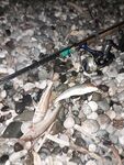 Зелёный булер и отводной на закате в Абхазии