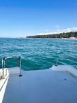 Катамаран в Пицунде, местный самодур и ставридка за полтора часа