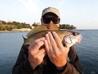 Море вместо плавней для спиннинга в Анапе