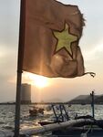 Донка с местными рыбаками и ночные головоногие в Нячанге