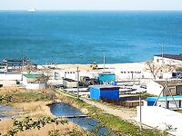 Нереис у грязевого озера в Голубицкой