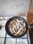 Около трех десятков бычков за два часа в Мысовом