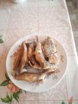 Около трех десятков бычков за два часа в Мысовом
