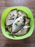 Ставрида, карась и первые скорпены в Новомихайловском