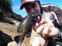 Скалы у Унаватуны чуть не скинули меня в океан а Jungle Beach спас рокфишинг