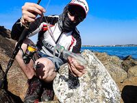 Скалы у Унаватуны чуть не скинули меня в океан а Jungle Beach спас рокфишинг