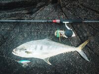 Пенн 6000 задымился раньше волны и камни Румассалы добили мне утро