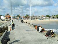 Северный порт Джимбарана дал мне самый дешевый вход в балийскую рыбалку