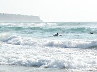 Северный порт Джимбарана дал мне самый дешевый вход в балийскую рыбалку