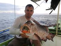 Puka Beach отпугнул меня отдыхающими а лодка оставила одну рыбу и минус воблер