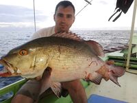Puka Beach отпугнул меня отдыхающими а лодка оставила одну рыбу и минус воблер