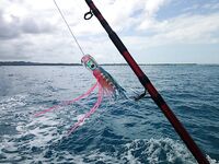 El Nino на Сиаргао оставил мне ведро мелочи и одного ваху за 37 часов