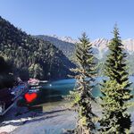 На Рице прокатные удочки вывели меня на рабочую точку с салом а не с хлебом