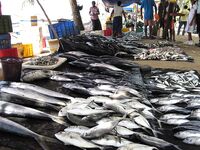 Kimal дважды выводил меня с Jungle Beach на одну и ту же тридцатиметровую точку