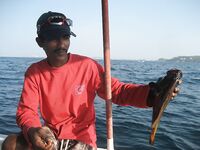 Kimal дважды выводил меня с Jungle Beach на одну и ту же тридцатиметровую точку