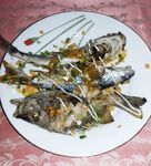 Хлеб из отеля и моток лески вывели меня в Маравиле от лагуны к морскому сому