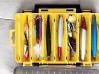 Три тревела в чемодане и вопрос к Шри-Ланке перед мартовским вылетом