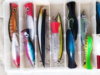 Три тревела в чемодане и вопрос к Шри-Ланке перед мартовским вылетом