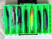 Три тревела в чемодане и вопрос к Шри-Ланке перед мартовским вылетом