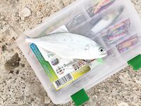 Фуджейра вымотала дорогой а Дубай дал мне скрытую рыбалку под присмотром жены