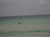 Карон быстро объяснил мне почему отводной важнее дальнего заброса