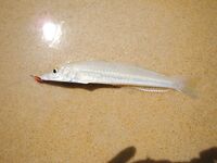 Карон быстро объяснил мне почему отводной важнее дальнего заброса