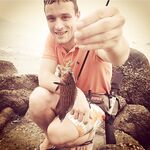 Равай оставил мне разноцветных гномов и сарганов которые так и не ударили