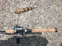 Карон быстро отучил меня бегать босиком по камням ради вечерней проводки