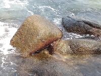 Карон быстро отучил меня бегать босиком по камням ради вечерней проводки