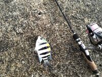 Ката Ной заставил меня везти тубус палки и полчемодана морской резины