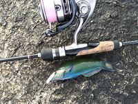 Ката Ной заставил меня везти тубус палки и полчемодана морской резины