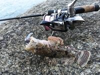 Ката Ной заставил меня везти тубус палки и полчемодана морской резины